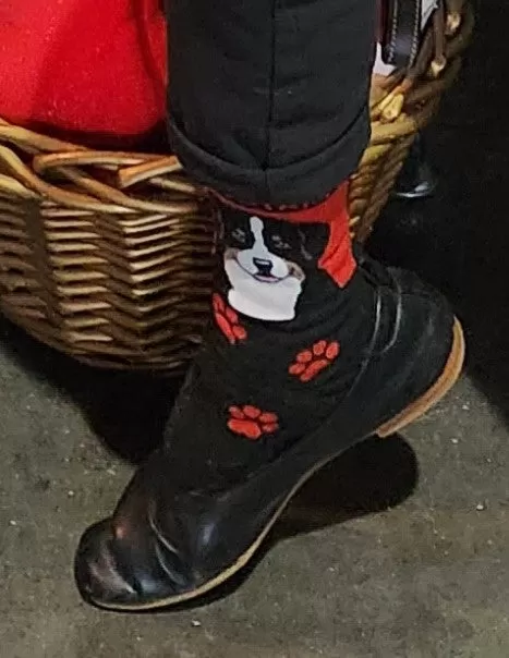 Bernese "Pop Art" Socks