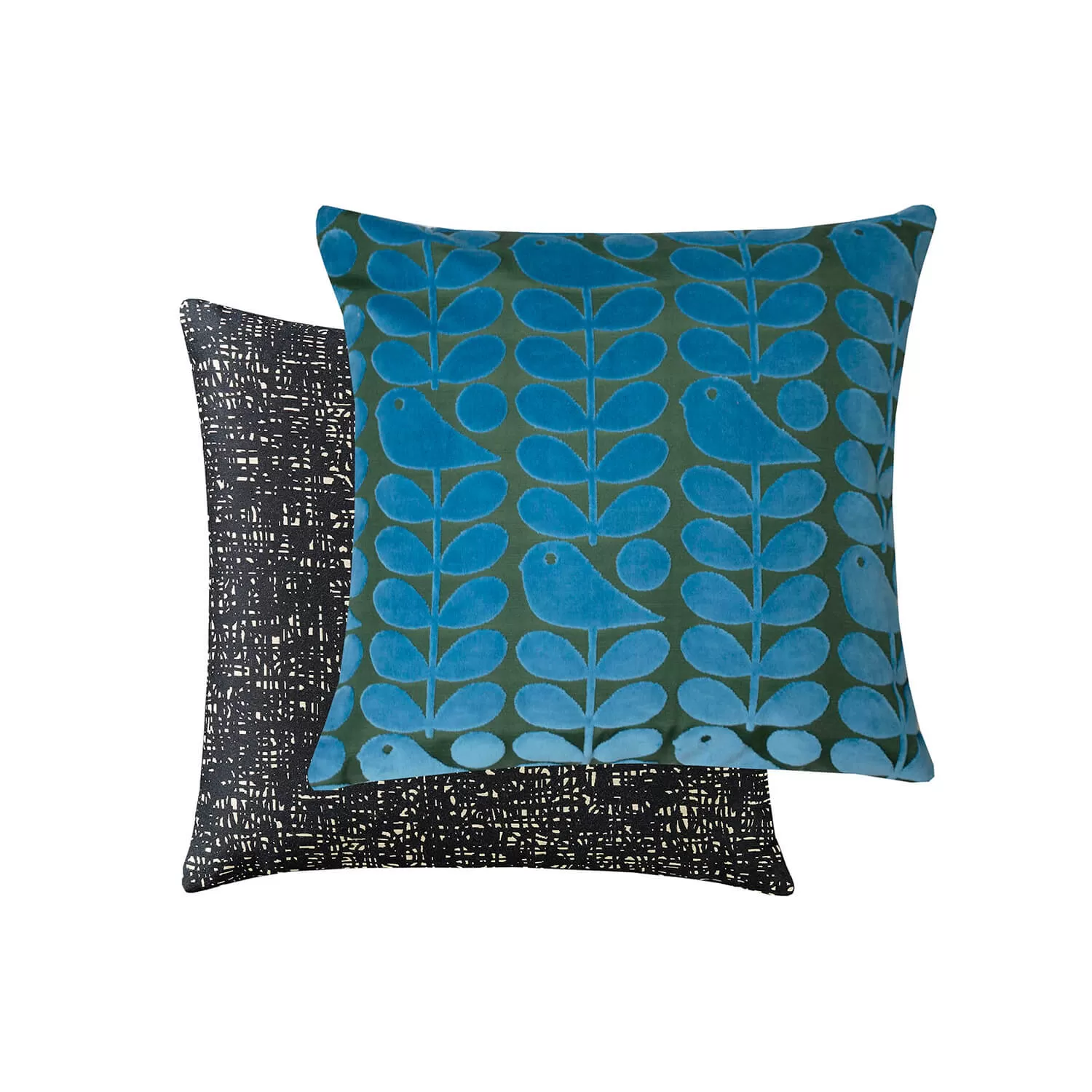 Early Bird Cushion 50cm x 50cm - Azure